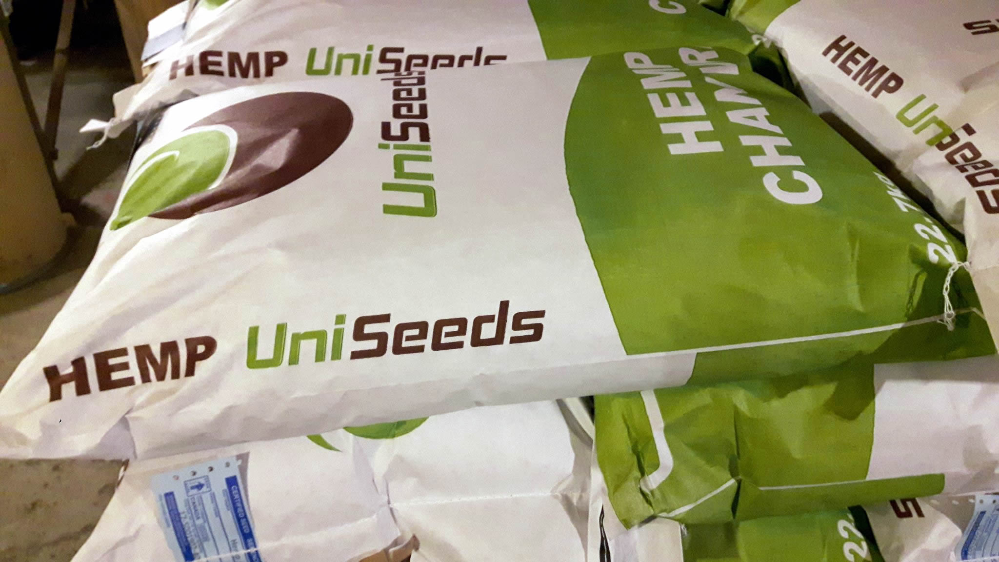 hemp-uniseeds.jpg