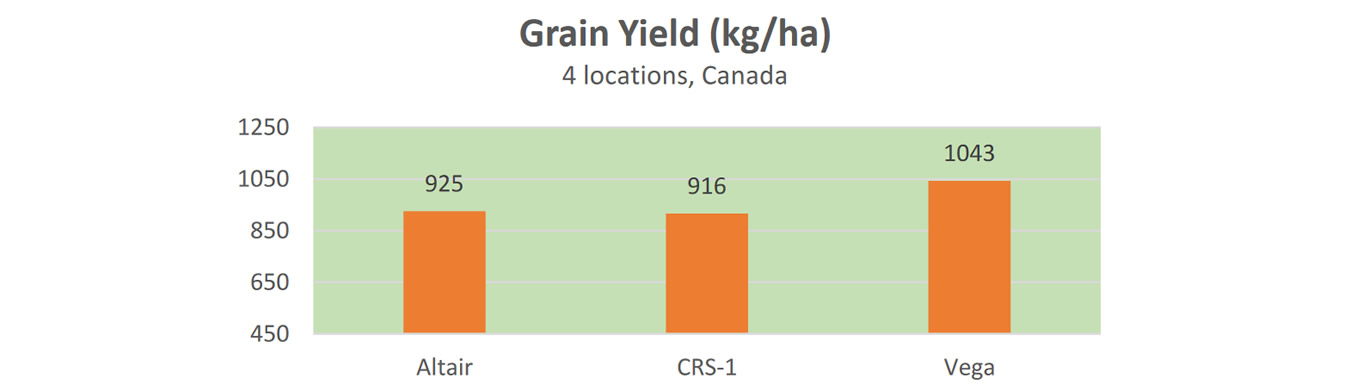 Vega Grain Yeild